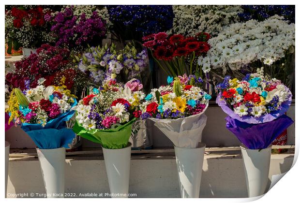 Beautiful flowers of various types  Print by Turgay Koca