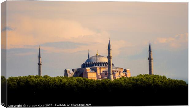Hagia Sophia,  the world famous monument  Canvas Print by Turgay Koca