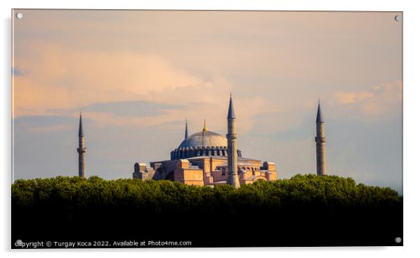 Hagia Sophia,  the world famous monument  Acrylic by Turgay Koca