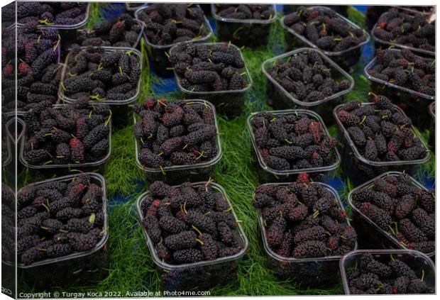 Black mulberries in plastic packages on sale Canvas Print by Turgay Koca