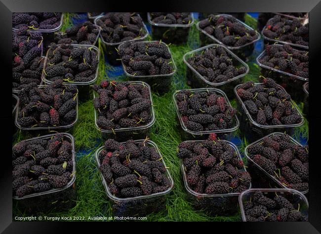 Black mulberries in plastic packages on sale Framed Print by Turgay Koca