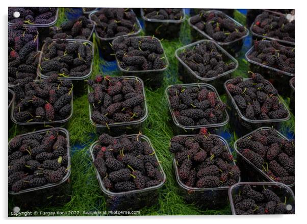 Black mulberries in plastic packages on sale Acrylic by Turgay Koca