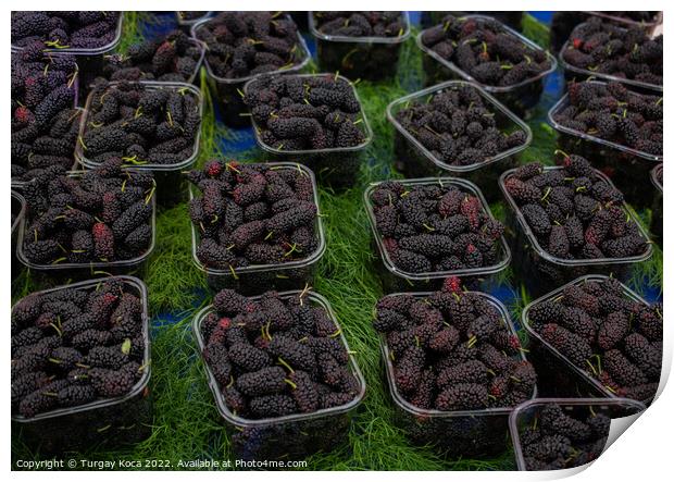 Black mulberries in plastic packages on sale Print by Turgay Koca