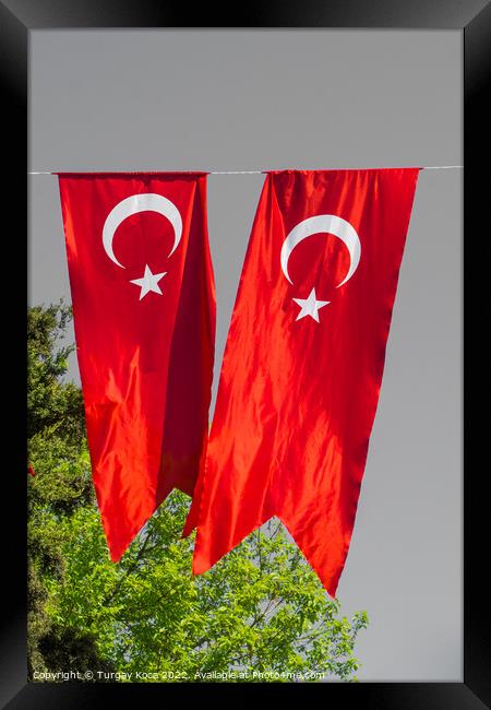 Turkish national flag hang in view in the open air Framed Print by Turgay Koca