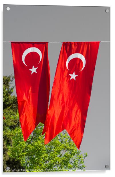 Turkish national flag hang in view in the open air Acrylic by Turgay Koca