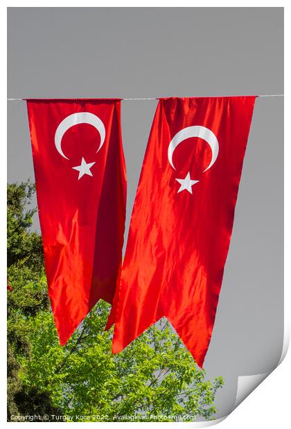 Turkish national flag hang in view in the open air Print by Turgay Koca