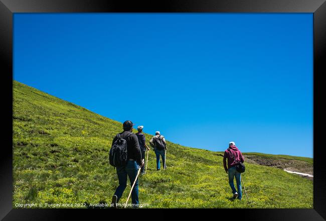 hikers with backpacks and trekking poles walking in Artvin highl Framed Print by Turgay Koca