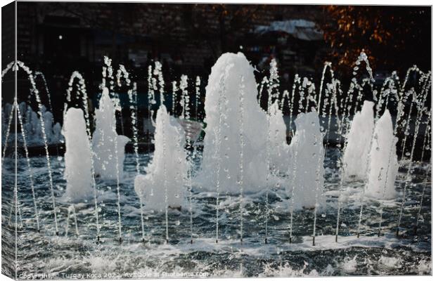 The fountains gushing sparkling water in a pool Canvas Print by Turgay Koca