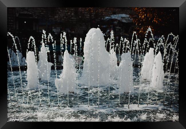 The fountains gushing sparkling water in a pool Framed Print by Turgay Koca