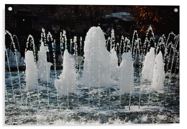 The fountains gushing sparkling water in a pool Acrylic by Turgay Koca