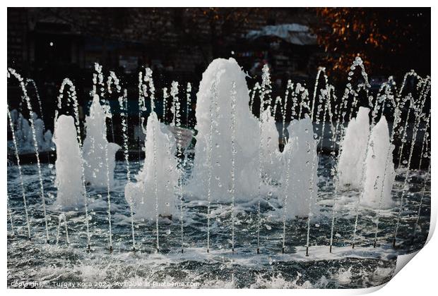 The fountains gushing sparkling water in a pool Print by Turgay Koca