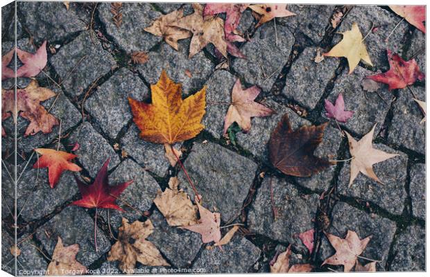 Brown leaf texture and background. Dry leaves background texture Canvas Print by Turgay Koca