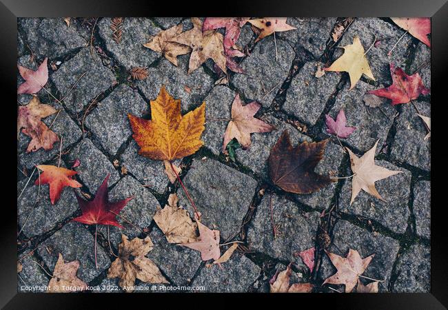 Brown leaf texture and background. Dry leaves background texture Framed Print by Turgay Koca