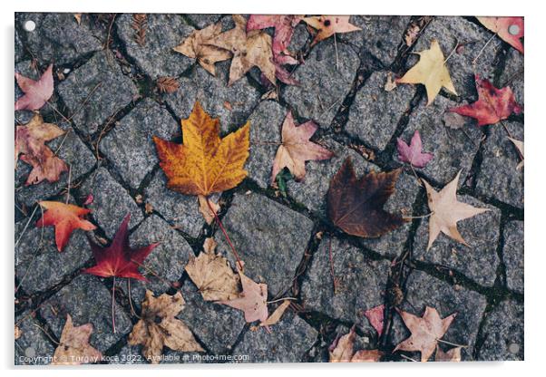 Brown leaf texture and background. Dry leaves background texture Acrylic by Turgay Koca