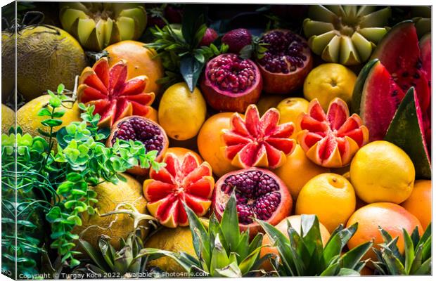 Grapefruits, mangoes, pomegranates, lemons, melons and watermelo Canvas Print by Turgay Koca