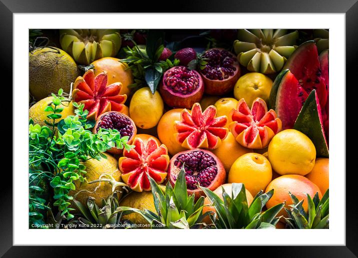 Grapefruits, mangoes, pomegranates, lemons, melons and watermelo Framed Mounted Print by Turgay Koca