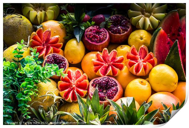 Grapefruits, mangoes, pomegranates, lemons, melons and watermelo Print by Turgay Koca