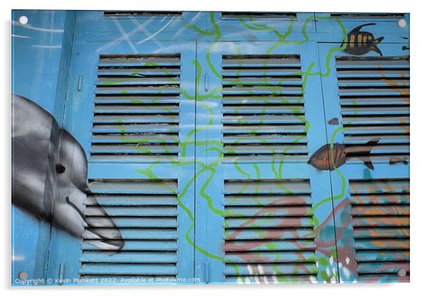 Window Shutters Vietnam Acrylic by Kevin Plunkett