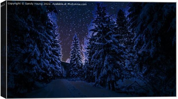Enchanted Winter Wonderland Canvas Print by Sandy Young