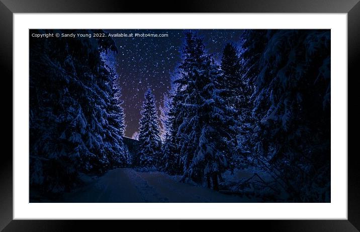 Enchanted Winter Wonderland Framed Mounted Print by Sandy Young