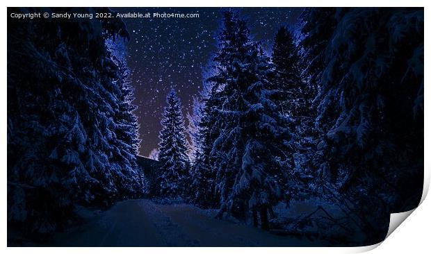 Enchanted Winter Wonderland Print by Sandy Young
