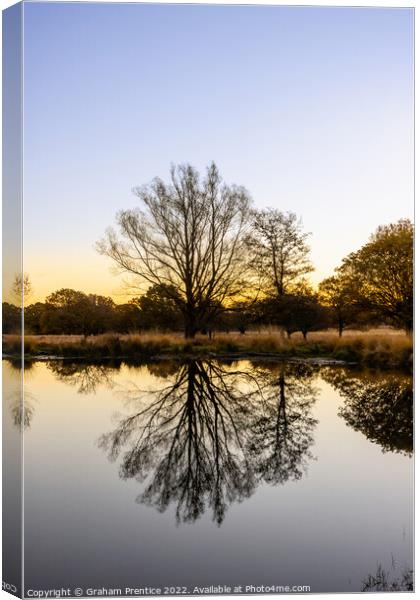 Richmond Park Sunrise Over White Ash Pond Canvas Print by Graham Prentice