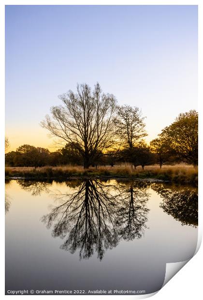 Richmond Park Sunrise Over White Ash Pond Print by Graham Prentice