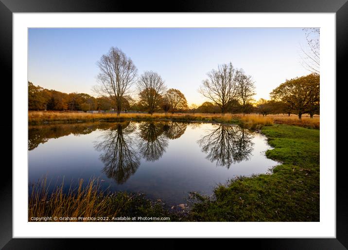 Richmond Park Morning At White Ash Pond Framed Mounted Print by Graham Prentice