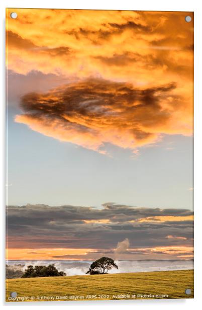Dragon-like cloud at sunset near Goathland, North Yorkshire. Acrylic by Anthony David Baynes ARPS