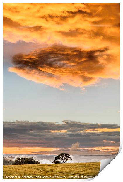 Dragon-like cloud at sunset near Goathland, North Yorkshire. Print by Anthony David Baynes ARPS