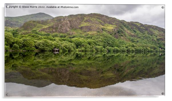 Reflecting at Llyn Dinas Acrylic by Steve Morris