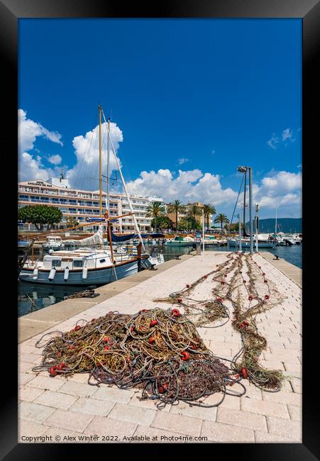 Fisher net at fishing harbor port of Sa Coma, cala Framed Print by Alex Winter