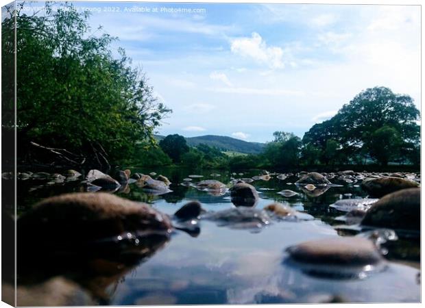 Majestic Landscape of River Tay Canvas Print by Sandy Young