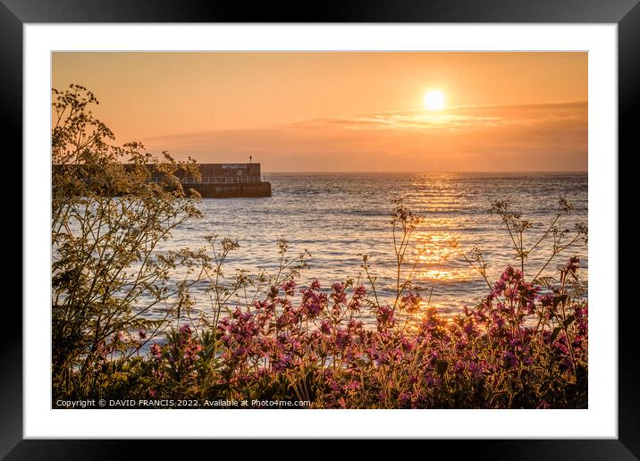 Entrance to Natures Golden Haven Framed Mounted Print by DAVID FRANCIS