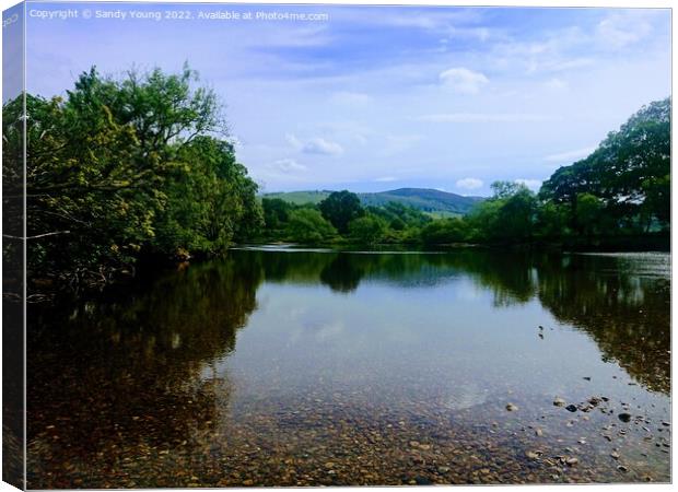 A calm river Tay  Canvas Print by Sandy Young