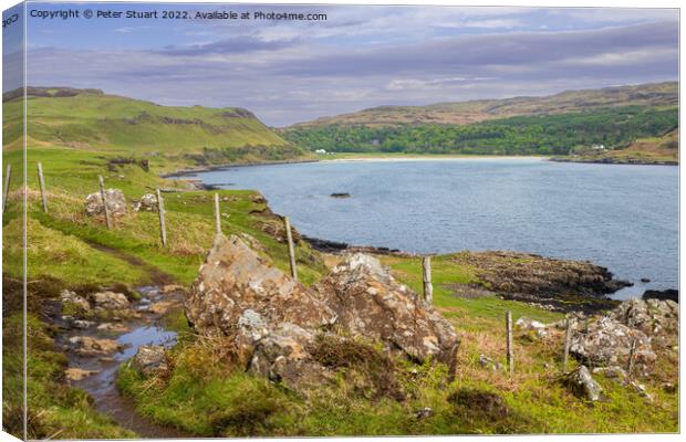 Calgary bay on the isle of mull Canvas Print by Peter Stuart