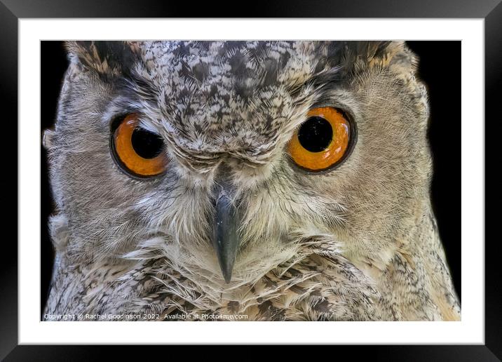 Tawny owl by night Framed Mounted Print by Rachel Goodinson