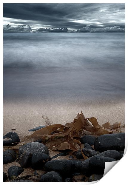 Stoned Beach Print by Keith Thorburn EFIAP/b