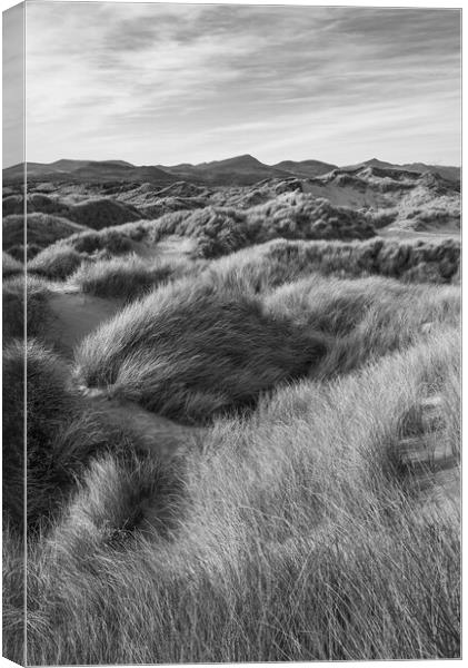 Harlech Dunes, North Wales Canvas Print by Andrew Kearton