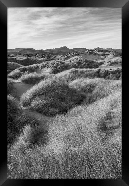 Harlech Dunes, North Wales Framed Print by Andrew Kearton
