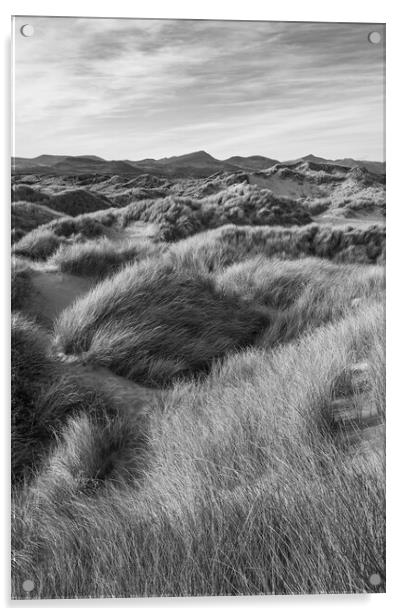 Harlech Dunes, North Wales Acrylic by Andrew Kearton