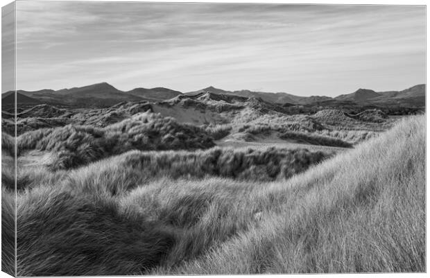 Dunes at Harlech, North Wales Canvas Print by Andrew Kearton