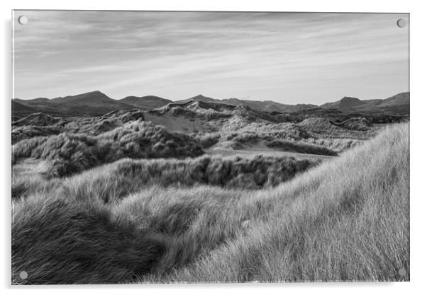 Dunes at Harlech, North Wales Acrylic by Andrew Kearton