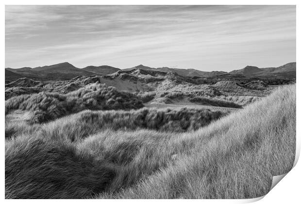 Dunes at Harlech, North Wales Print by Andrew Kearton