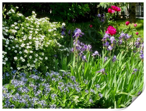 Lovely garden Print by Stephanie Moore