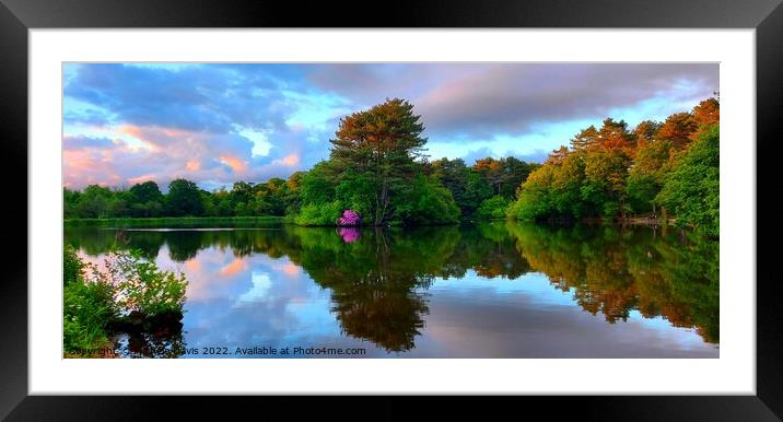 Cuerden Valley Park Reflections Framed Mounted Print by Michele Davis