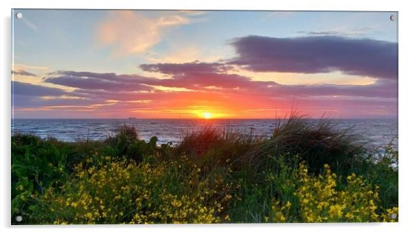 Fleetwood Sand Dunes Sunset Acrylic by Michele Davis
