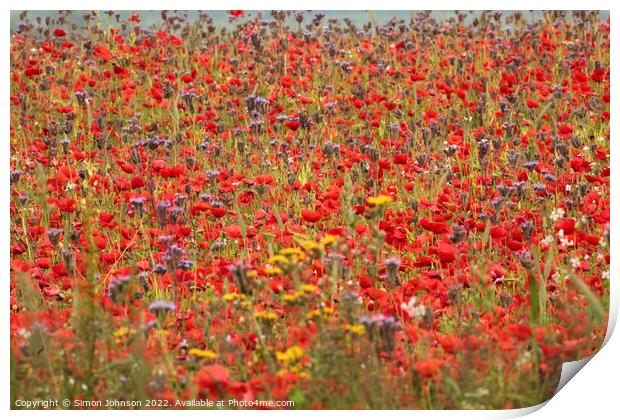 poppy field and meadow flowers Print by Simon Johnson