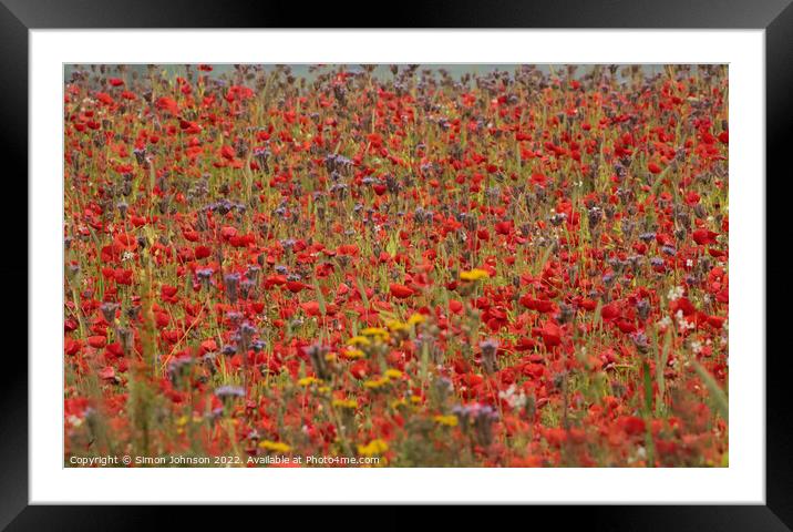 Poppies and meadow flowers Framed Mounted Print by Simon Johnson