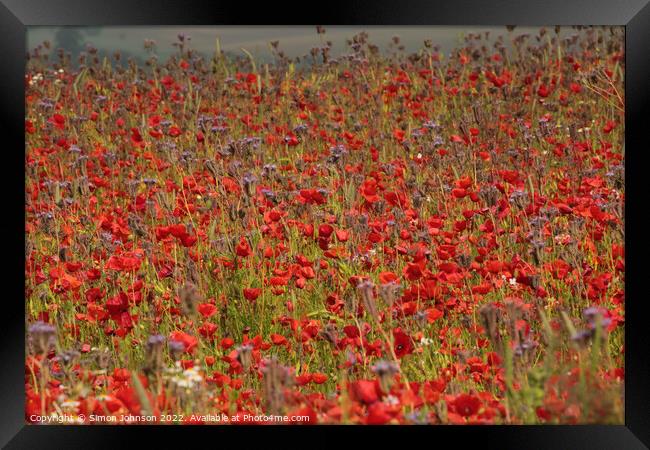 Outdoor field Framed Print by Simon Johnson